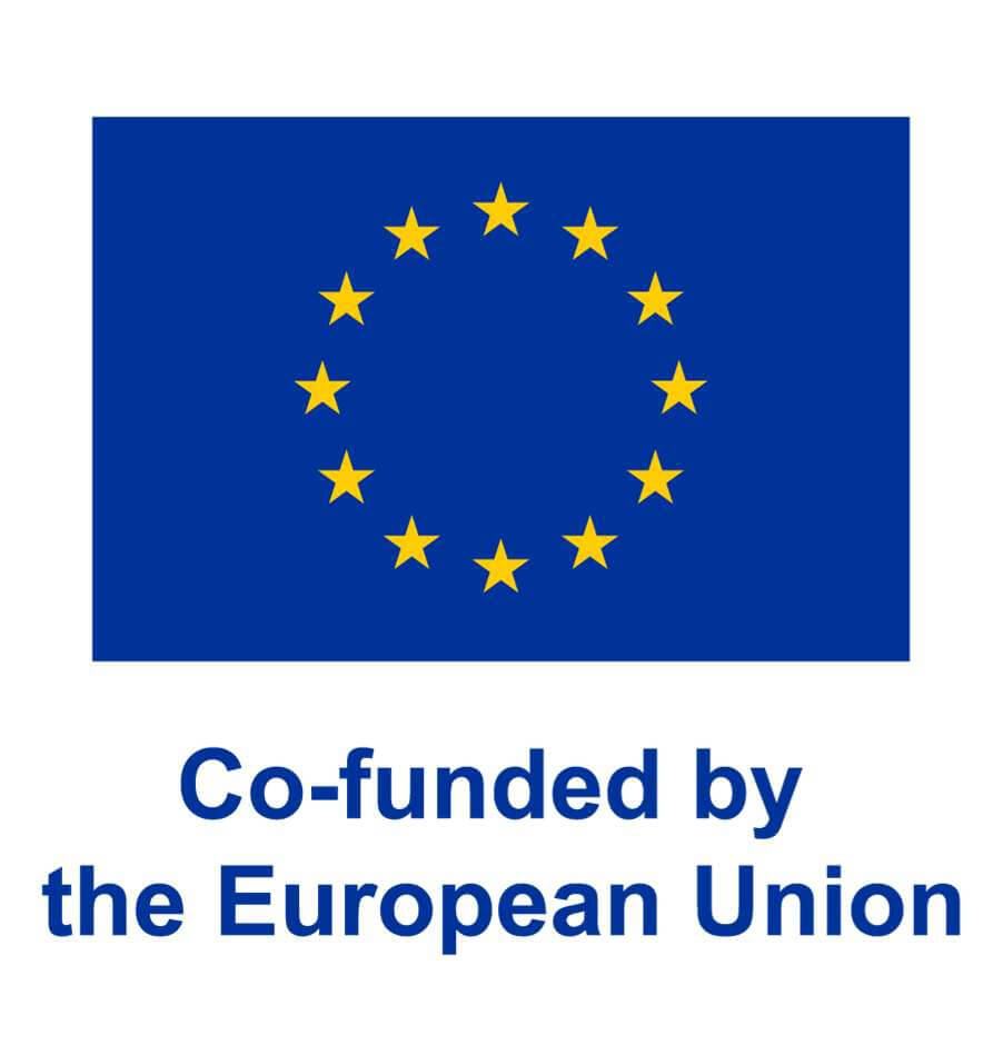 Co-funded by the European union